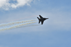 DSC_8204_00001