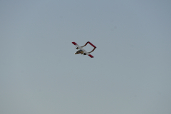 DSC4409