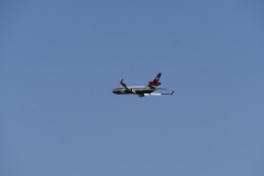 DSC4564