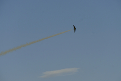 DSC4610