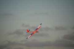 D71_3536