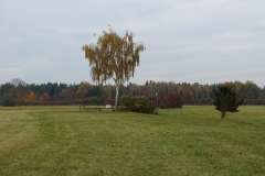 DSC05905