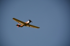 D71_6431