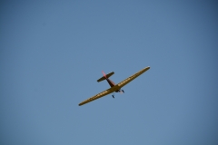 D71_6434