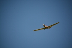 D71_6441