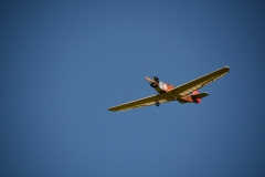 D71_6442