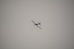 D71_1735