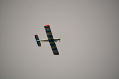 D71_1739