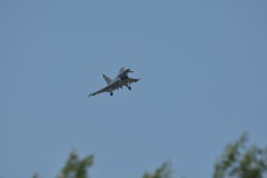 DSC_9914_00001