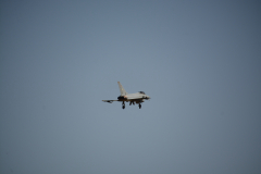 D71_0077