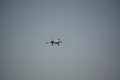 D71_0078