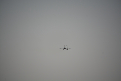 D71_0079
