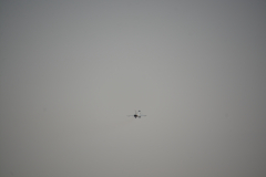 D71_0080