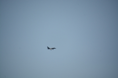 D71_0085