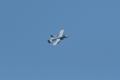 DSC_9401-Kopie_00001
