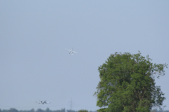 DSC_9559_00001