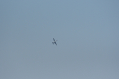 DSC_9565_00001
