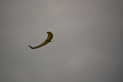 D71_5345