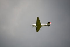D71_5283