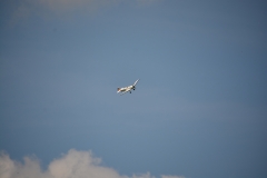 D71_5285