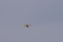 D-MMXX-1