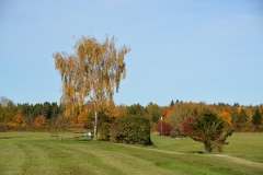 D71_7863