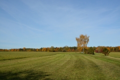 D71_7864