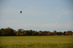 D71_7876