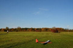 D71_7877