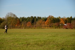D71_7883