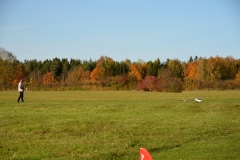D71_7884