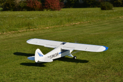 D71_8741