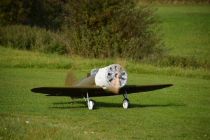 Polikarpow I-16  Rata