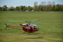 D71_8143