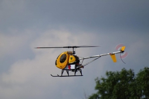 Schweizer 300
