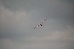 D71_4613