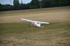 D71_4616