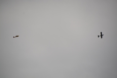 D71_4460