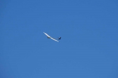 DSC02714