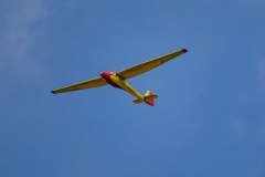 DSC02650