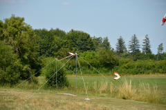 D71_0292