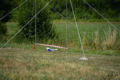 D71_0302