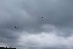 20190728_123130