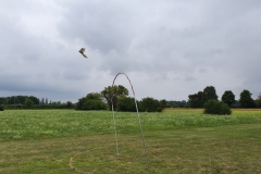 20190728_143220
