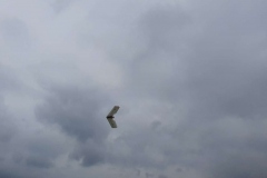 20190728_143248