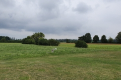 20190728_1443030