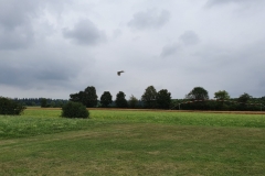 20190728_144314