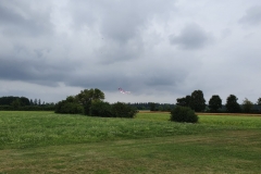 20190728_1443161