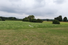 20190728_1443162