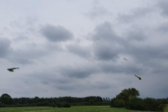 20190728_153625